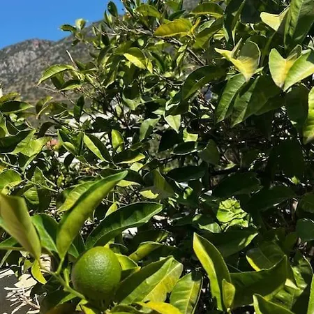 Gokseki Sokak 75b Appartement Kaş